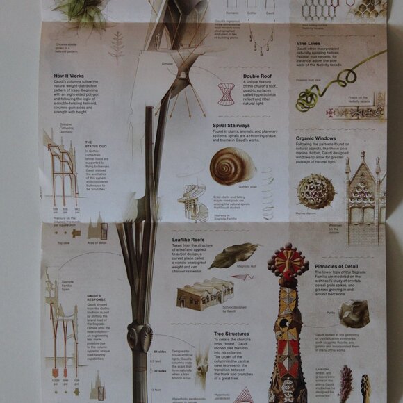 National Geographic "Barcelona's Natural Wonder" / 'Design by Nature' - Picture 5 of 6